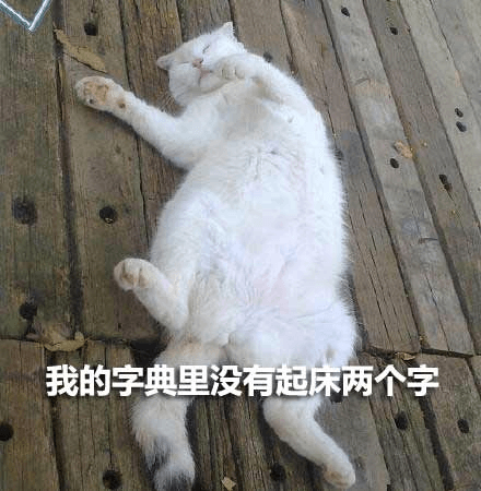 我的字典里没有起床两个字