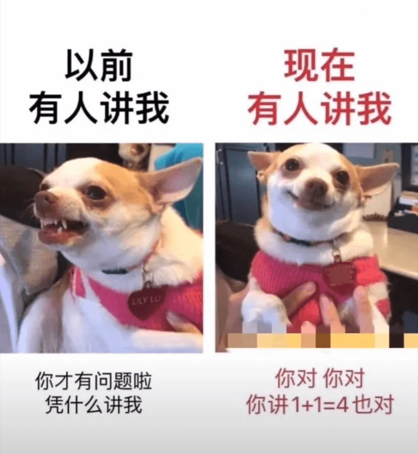 啊,对对对~