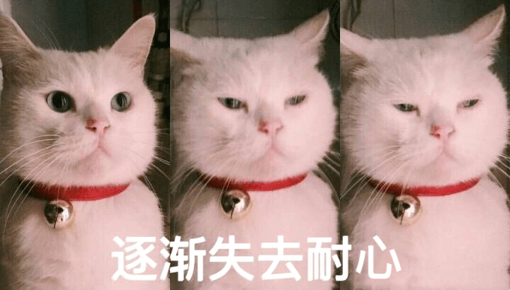失去耐心